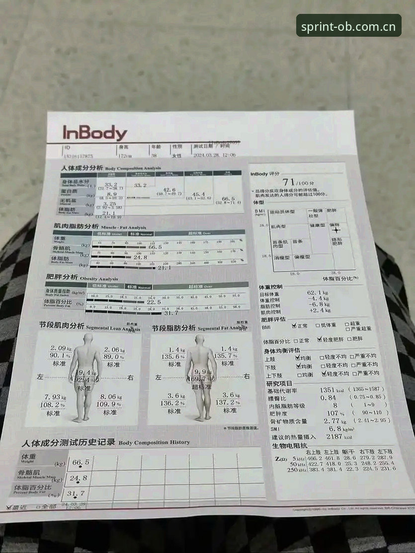OB体育平台体验最新版实测报告：功能升级与性能优化最新进展